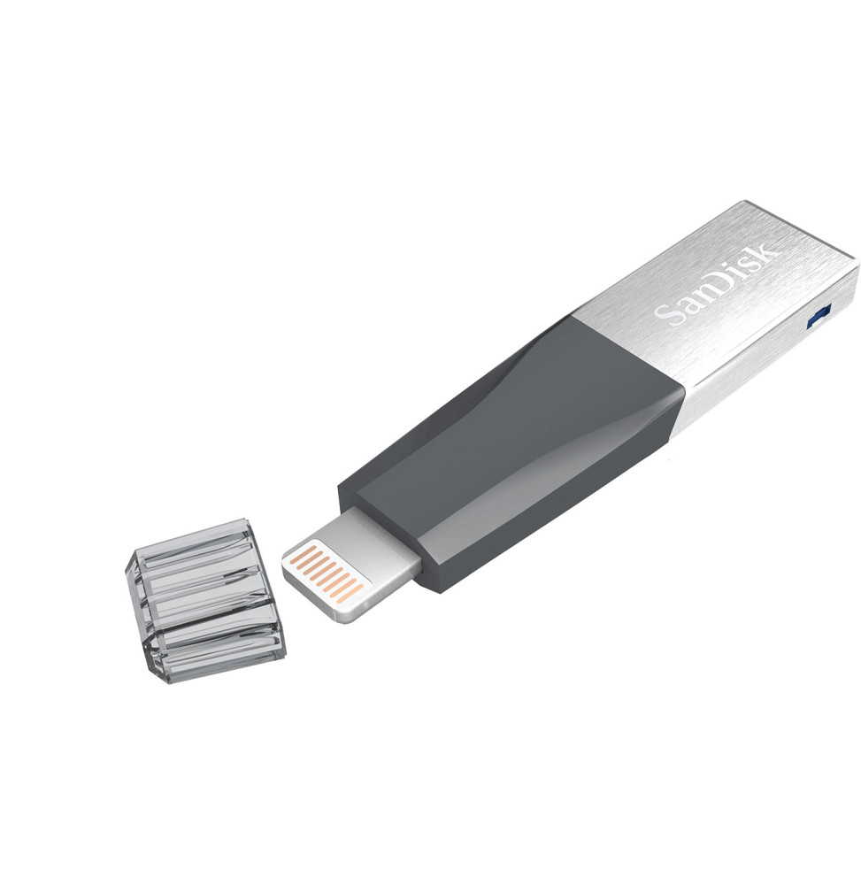 SanDisk iXpand Mini 32Go pour iPhone (SDIX40N-032G-GN6NN)