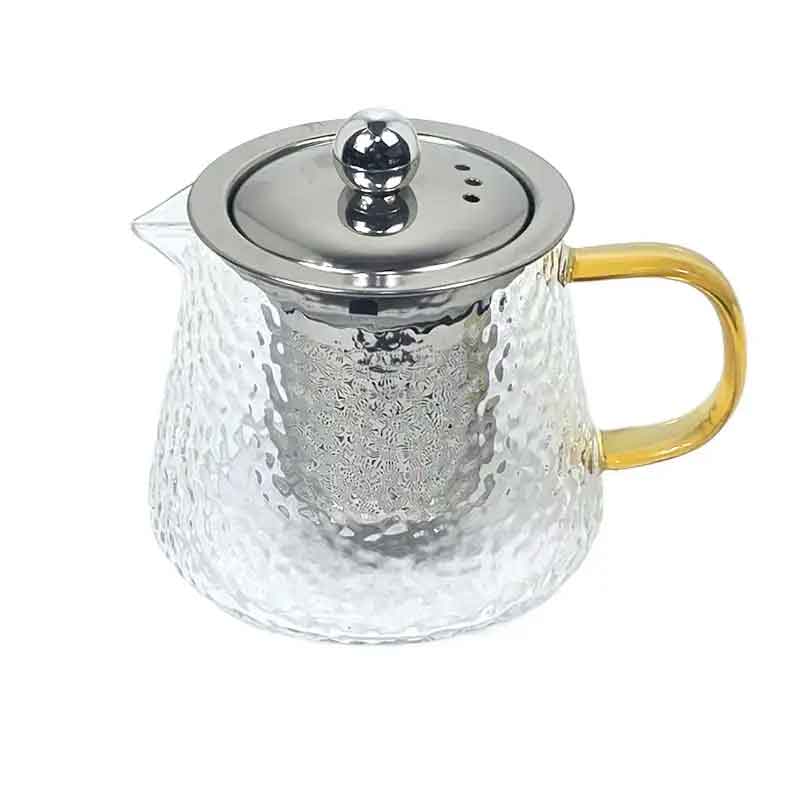 Pandiani Théière en verre - 480ml - Résistante au feu - Filtre en acier inoxydable